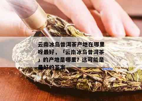 云南省冰岛普洱茶：品种特点、 *** 工艺、品饮 *** 及购买指南