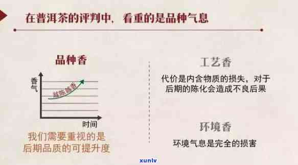 普洱茶香气如何分析