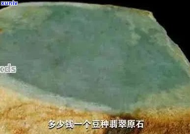 豆绿翡翠豆很贵了，原石价值高吗？容易变种吗？吊坠值多少钱？