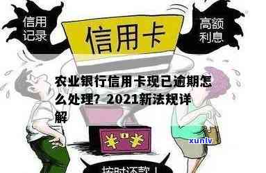 农行信用卡逾期执行流程是什么？2021年新法规详解