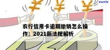 农行信用卡逾期执行流程是什么？2021年新法规详解