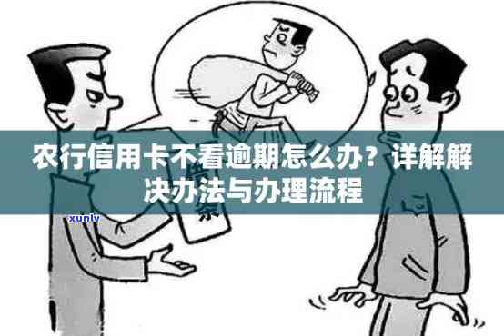 农行信用卡逾期执行流程