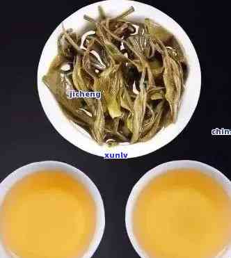 福建特色茶叶综合指南：涵十大热门普洱茶系列