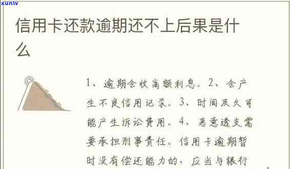 掌握广佛信用卡逾期处理技巧，轻松应对信用危机