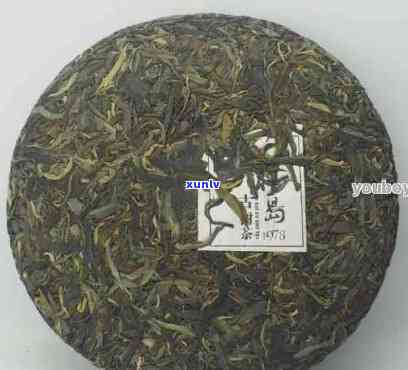 2013年冰岛生普茶饼价格分析：古树茶与普通茶的差别在哪里？