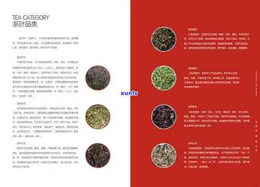 普洱茶传手册示例