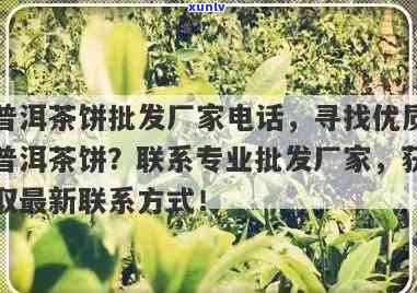 普洱茶 *** 优价与 *** 咨询，公司信息以及注意事项