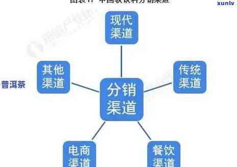 普洱茶的渠道模式设计方案：分销、销售与供应