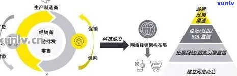 普洱茶的渠道模式设计方案：分销、销售与供应