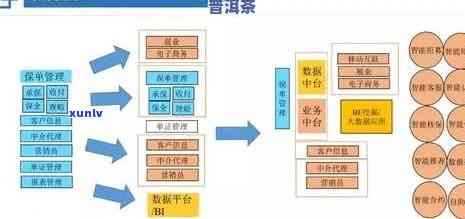 普洱茶的渠道模式设计方案：分销、销售与供应