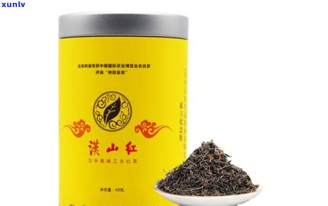 普洱茶种植基地全方位解析：从种植环境、茶叶品种到采摘工艺的全面了解