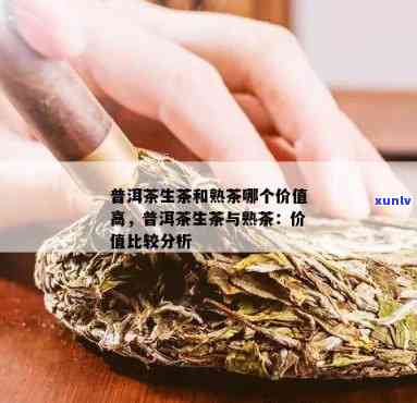 普洱茶：生茶与熟茶的品质与价格对比，哪个更值得投资？