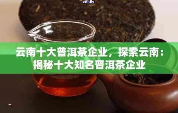 最新云南普洱茶企业排名：厂百强，十大茶厂榜首