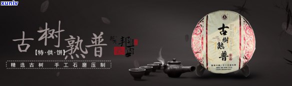 云南知名普洱茶招商