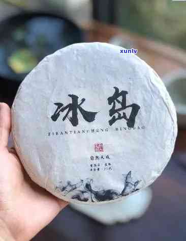 冰岛茶属于哪一类茶？普洱生茶与冰岛茶的关系是什么？