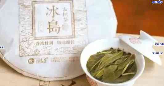 冰岛茶属于哪一类茶？普洱生茶与冰岛茶的关系是什么？