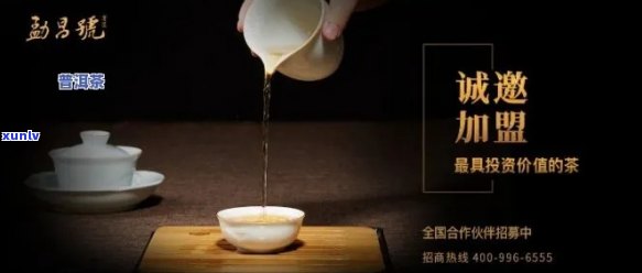 探索云南普洱茶商机：一路领先，加盟招商方案详解