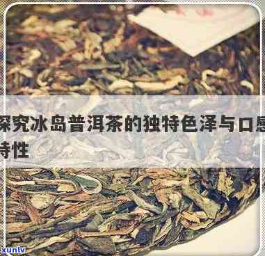 冰岛特色普洱茶：口感与特点的完美融合，呈现出独特的茶色泽