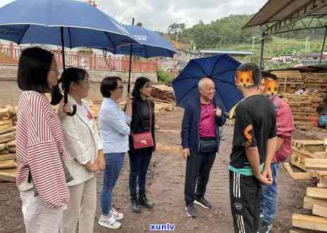 普洱茶目标市场分析报告：全面探讨普洱茶市场的机遇与挑战。