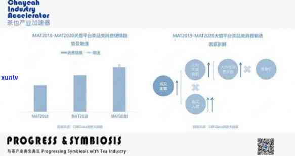 2020年普洱茶行业洞察：消费者行为、新兴趋势与未来发展前景