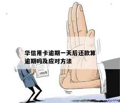 翡翠白菜吊坠适合什么人戴：寓意、讲究与价值全解析