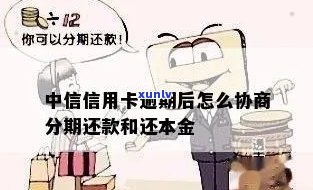 中信信用卡逾期分期还款全攻略：详细流程与协商技巧一网打尽