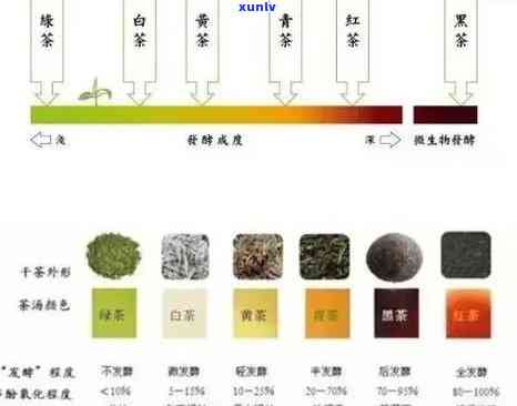 普洱茶专业术语层次感：如何理解普洱茶的专业术语？