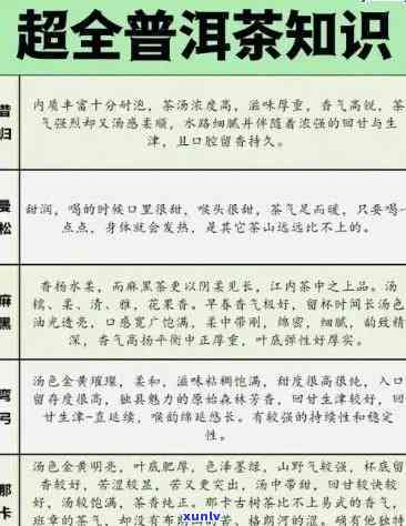 普洱茶专业术语层次感：如何理解普洱茶的专业术语？