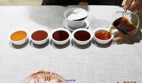 云南熟普洱茶哪家更好？大益、澜沧古树茶等知名对比