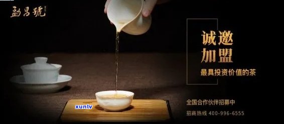 日照普洱茶招商：全面了解加盟条件、优势与支持，成为行业领导者！