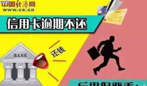 信用卡逾期30万：一位法师的还款经历与教训