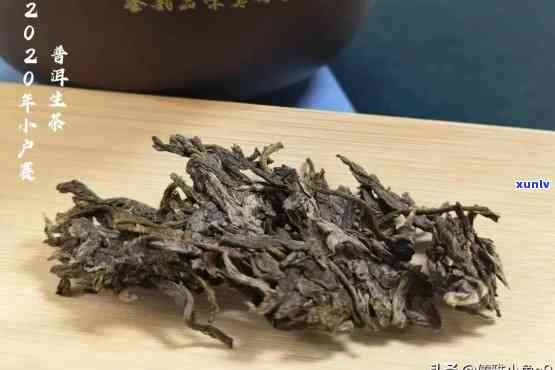 普洱茶属黑茶类吗？