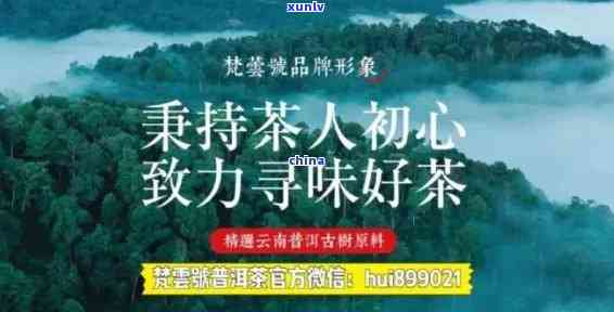 普洱茶招商网官网：加盟方案、茶商、商家一应俱全