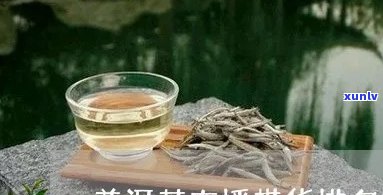 普洱茶直播平台推荐，哪些好？带货平台哪个强？