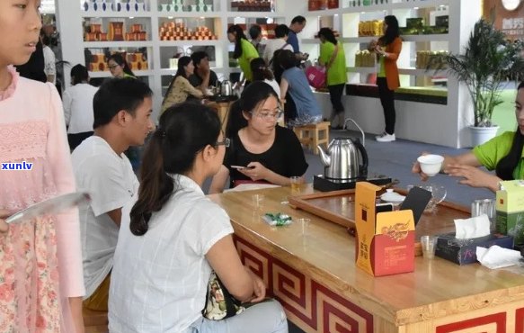 云南普洱茶加盟市场：挑选，赢在起跑线