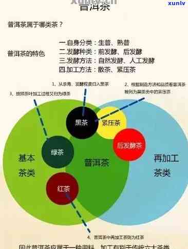 普洱茶加盟新模式：如何实现高效盈利？