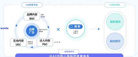 豆蔻年华产品：全面解读与解决用户搜索的各类疑问及需求