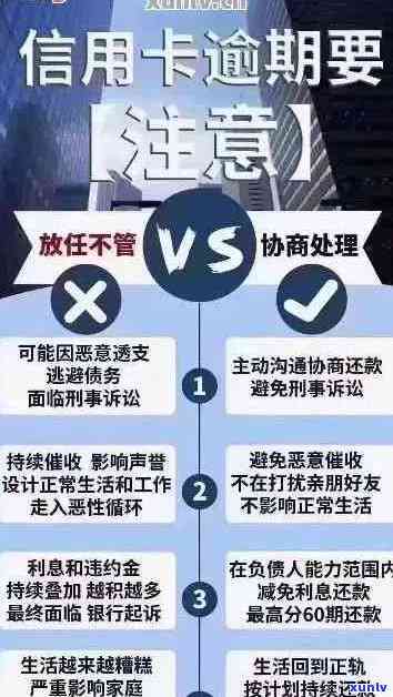 信用卡逾期不收利息分期政策详解：合法性、具体规定与可能影响一网打尽