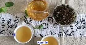 百家姓普洱茶的喝法