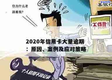 关于2020年信用卡逾期的案例分析和分享