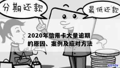 关于2020年信用卡逾期的案例分析和分享