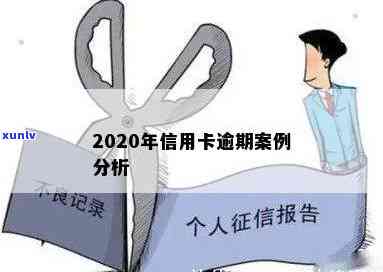 关于2020年信用卡逾期的案例分析和分享