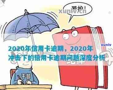 关于2020年信用卡逾期的案例分析和分享