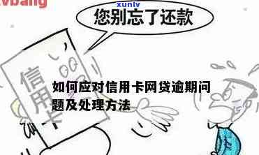 信用卡逾期后如何处理网贷？全面解决方案助您应对逾期止付问题