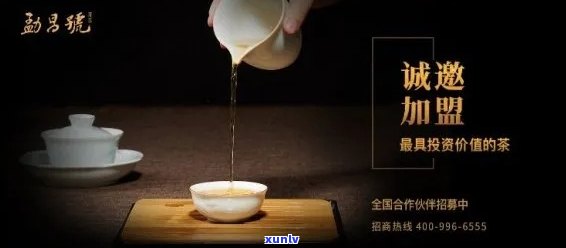 南通地区优质普洱茶项目招商策划及加盟指导方案