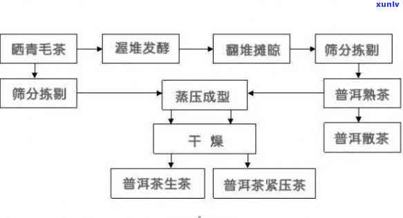 全面指南：了解州普洱茶 *** 流程、优势与挑战，助您轻松开展茶叶生意