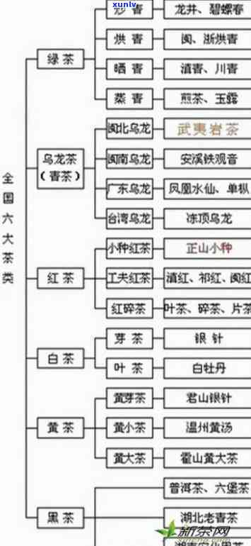 普洱属于什么茶类别