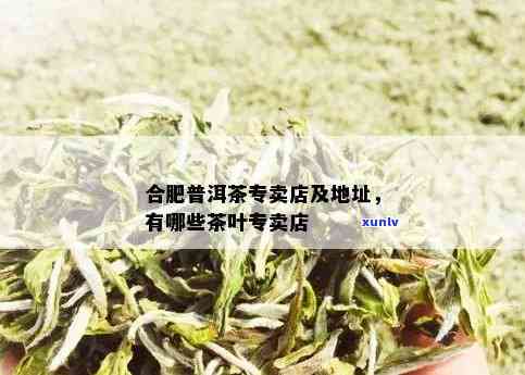 芜湖普洱茶怎么加盟店：安徽芜湖茶叶品质与店铺详情