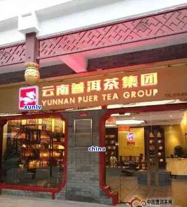 南普洱茶加盟店：如何选择、经营和成功盈利的全方位指南