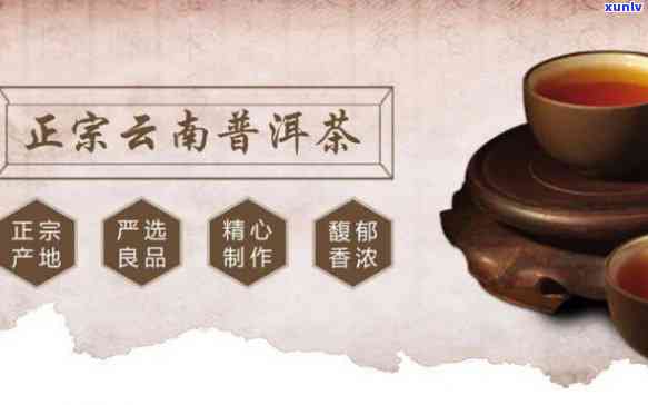 上普洱茶渠道 *** 